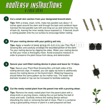 Clone Your Plants🌱 Like A Professional Horticulturist!