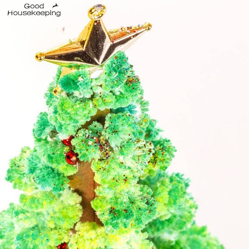 Magic Growing  Tree