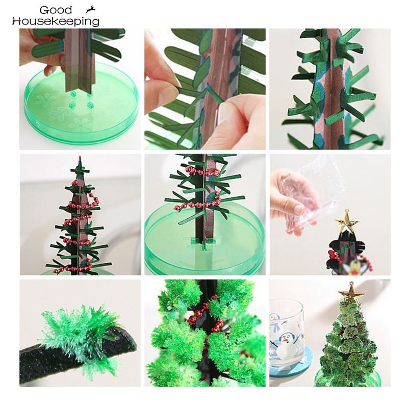 Magic Growing  Tree