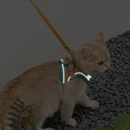 Reflective Cat Harness and Leash Collection