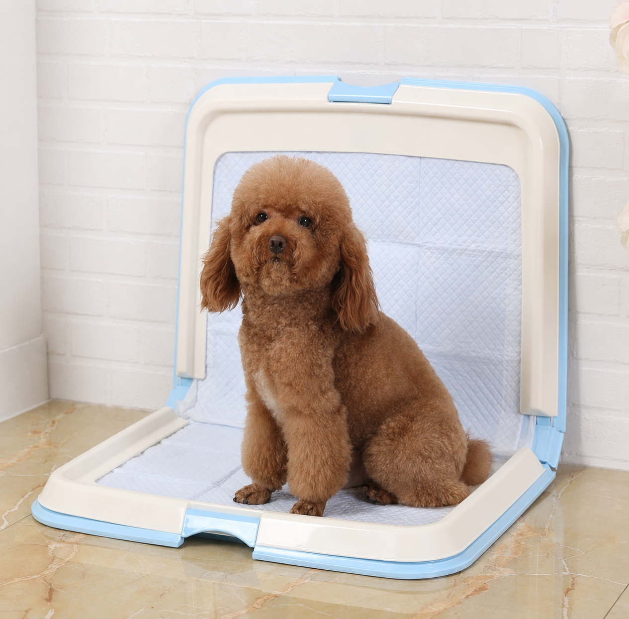 PawStation™ Indoor Dog Potty System