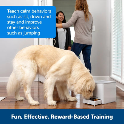 PetSafe Teach & Treat Remote Dog Trainer – Positive Reinforcement Training with Remote Treat Dispenser
