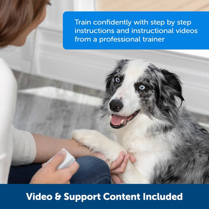 PetSafe Teach & Treat Remote Dog Trainer – Positive Reinforcement Training with Remote Treat Dispenser