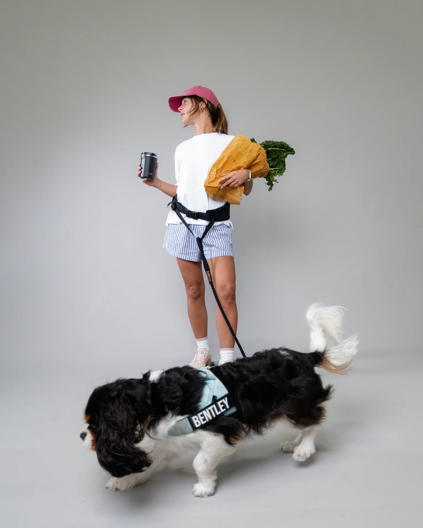 Walk any dog hands-free and under control