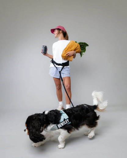 Walk any dog hands-free and under control