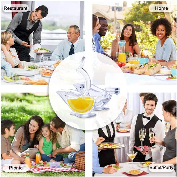 Lemon Squeezer🎄Early Christmas Sale - 50% OFF🎄