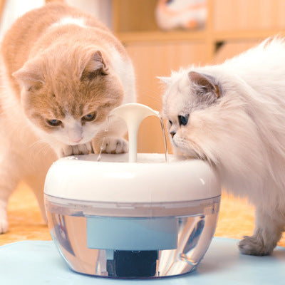 Magic Feline Fountain